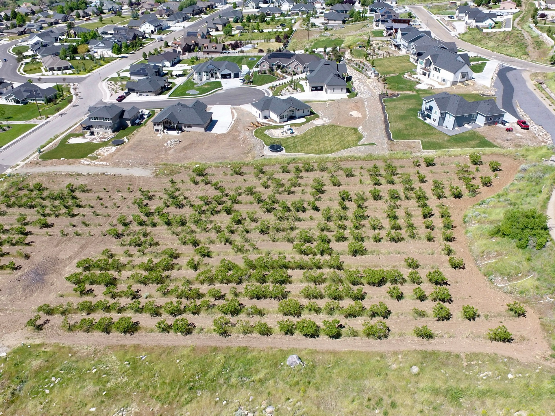 MOUNT PLEASANT ESTATES - Land