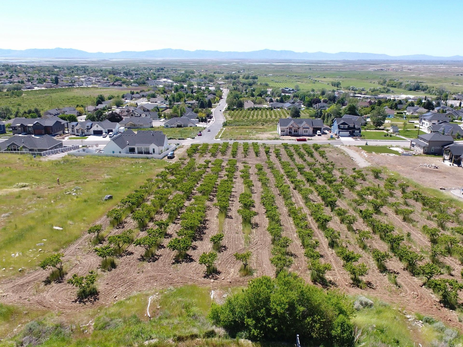MOUNT PLEASANT ESTATES - Land