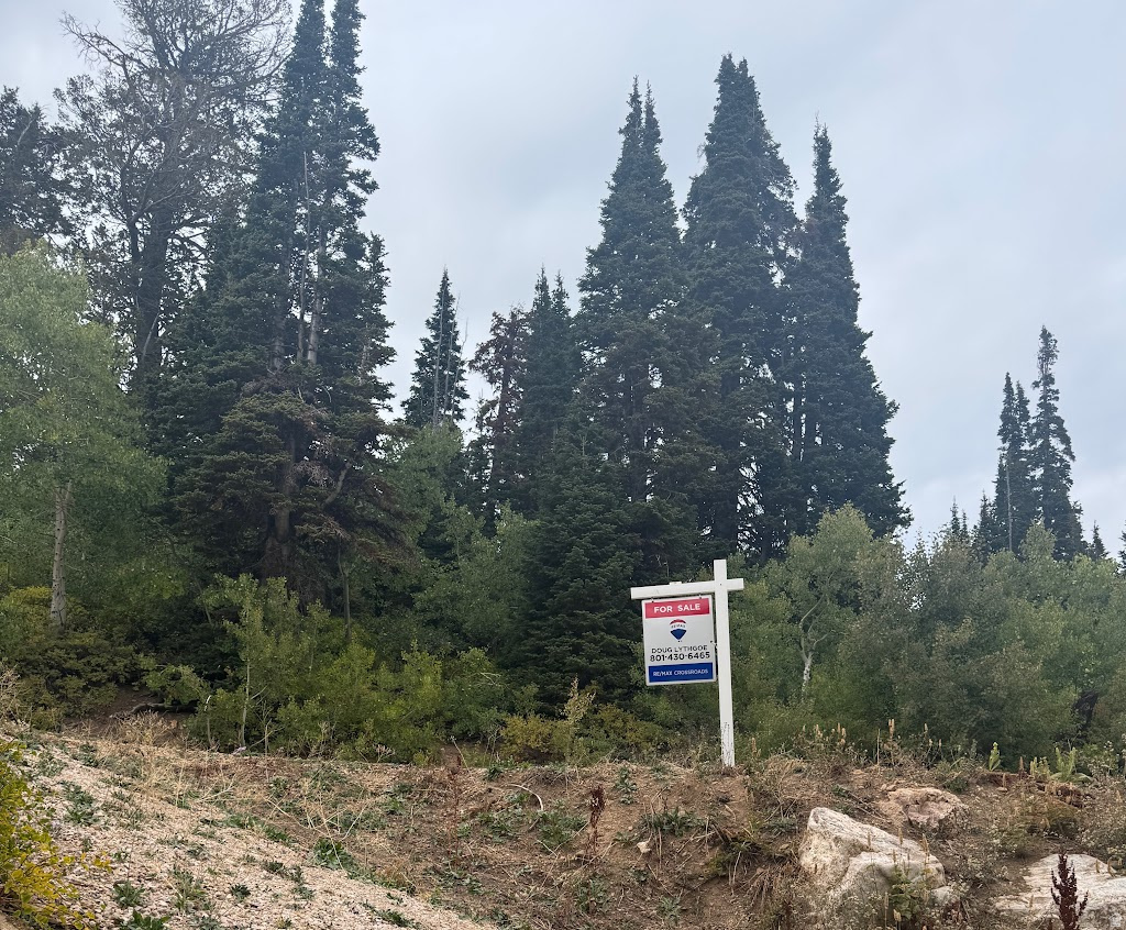 POWDER MOUNTAIN WEST - Residential