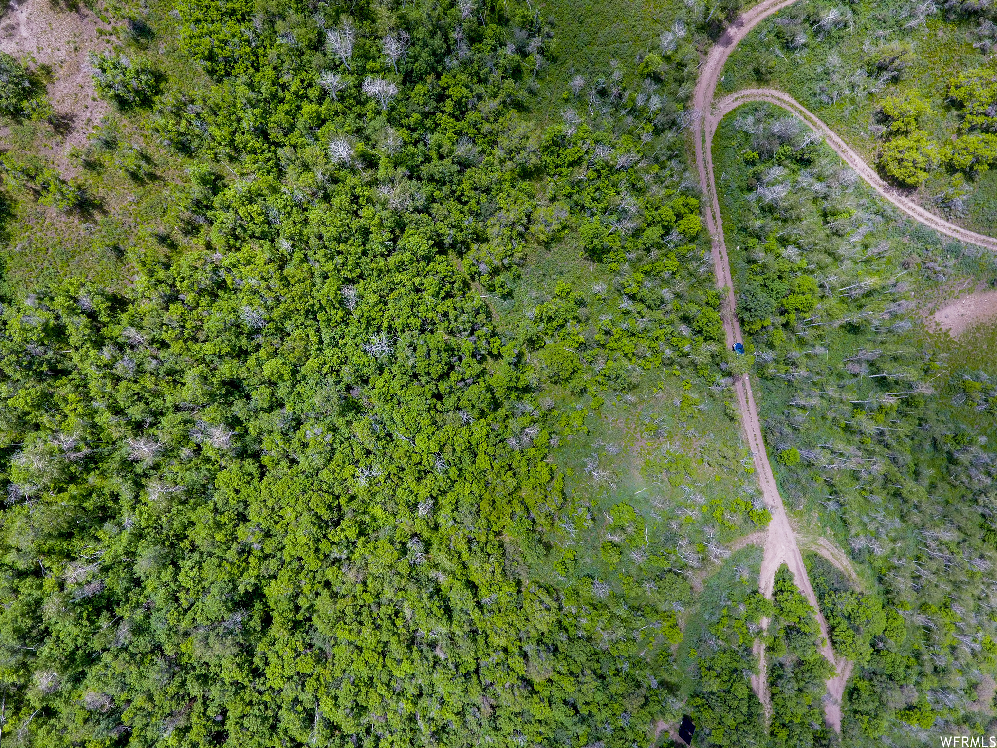 WOODLAND - Land