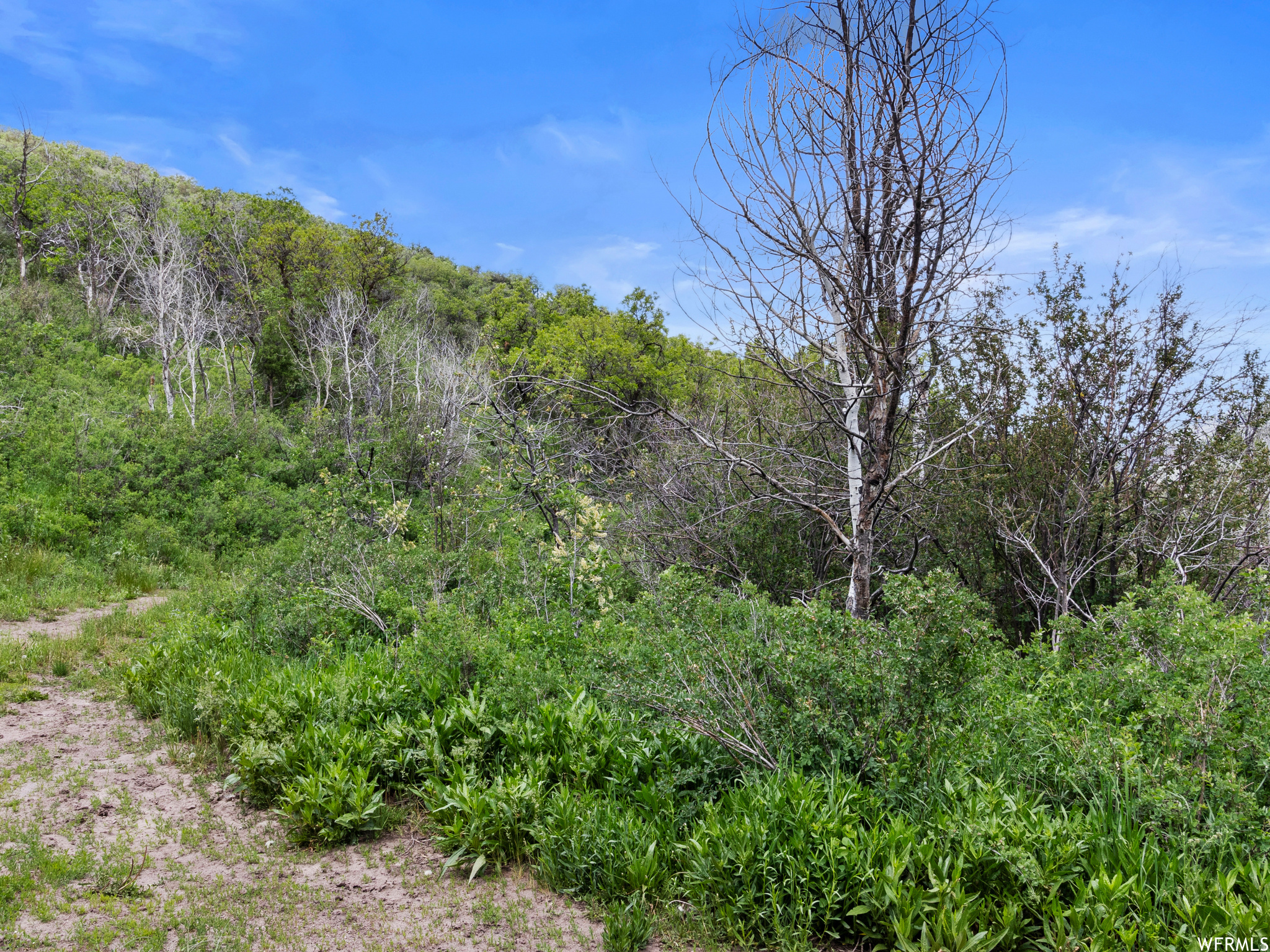 WOODLAND - Land