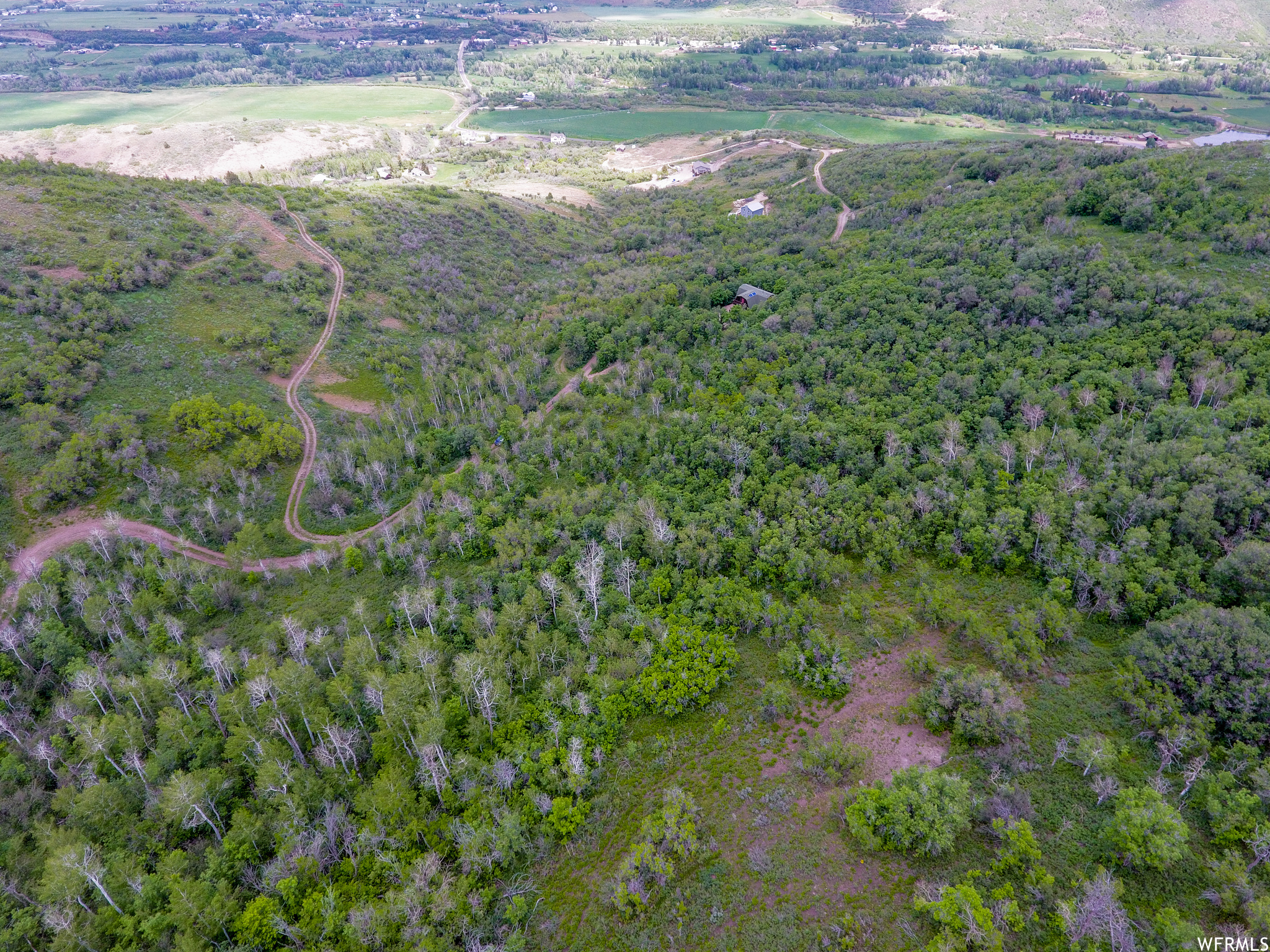 WOODLAND - Land