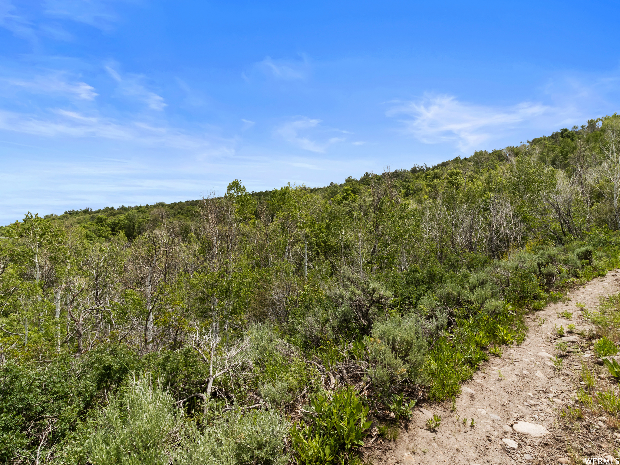 Beautiful buildable lot with mature trees and views galore. No HOA to deal with but gated for privacy. Come see what a secluded tranquil mountain property can do for your soul. Can be sold with parcel#00-0004-1405 (5.0 acres) for additional connected acreage.