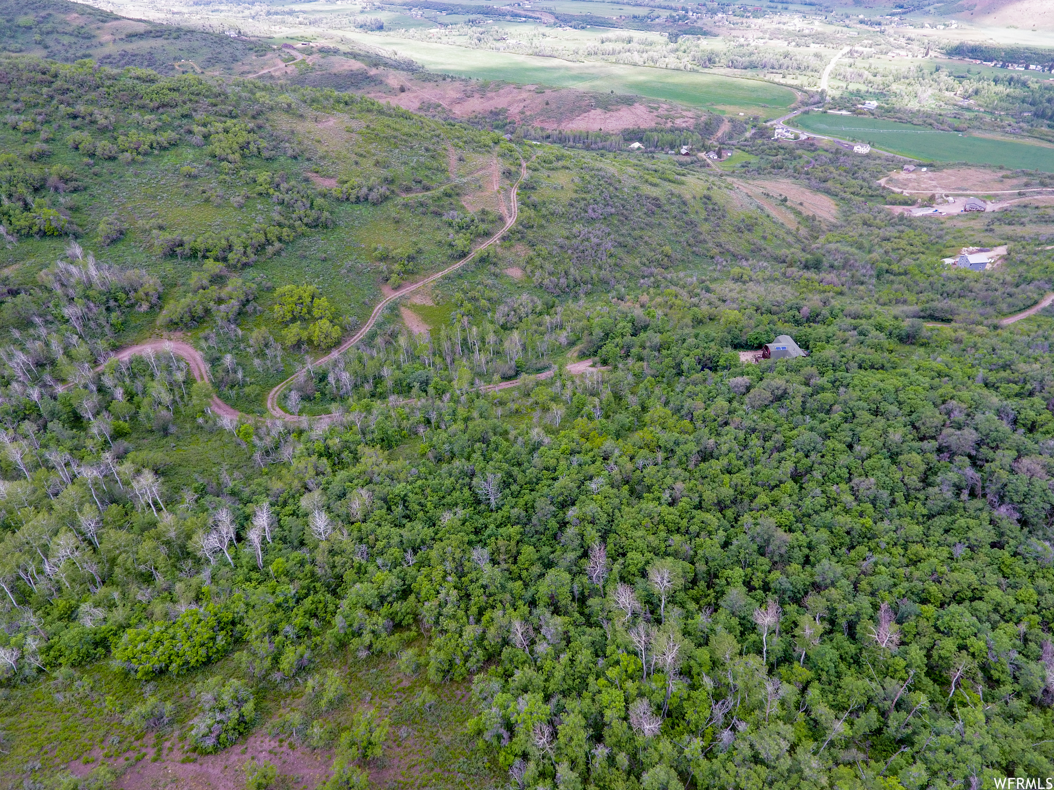WOODLAND - Land