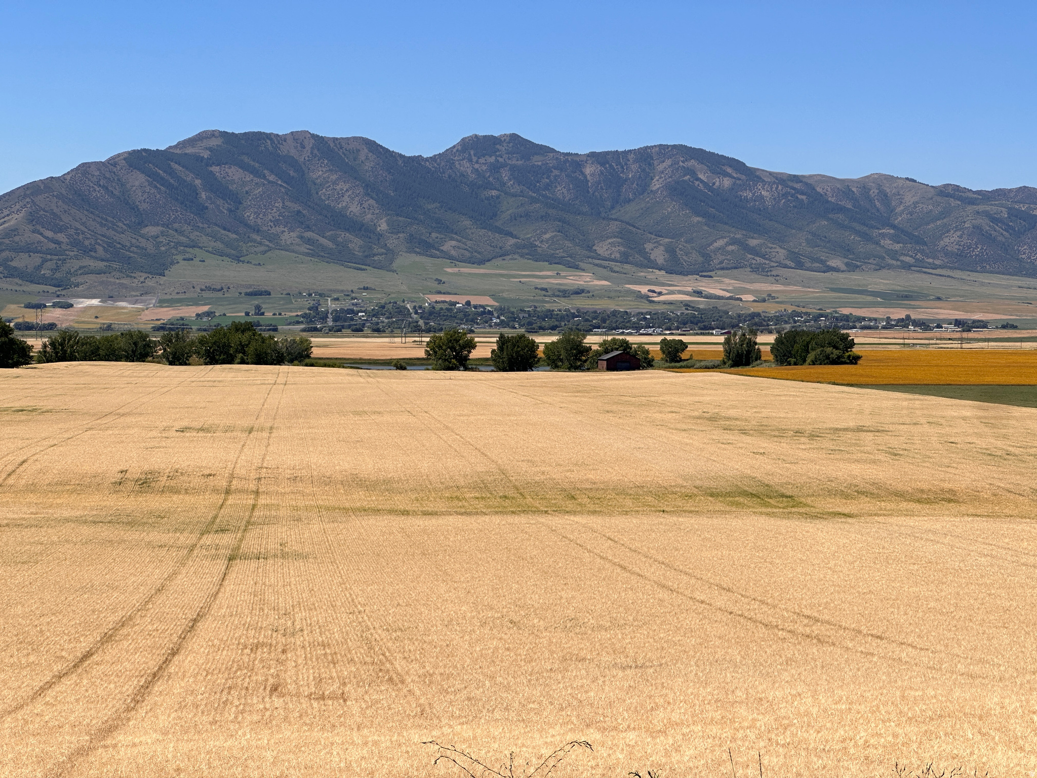 CBRE is pleased to present an opportunity to purchase land located at Newton Reservoir. This property is fronted on two sides by major roads, State Highway 142 on the North and 5800 West on the East and Newton Dam on the South and West. It has a nice general slope with spectacular views overlooking Newton Dam Reservoir and the Clarkston Valley. The property can be subdivided into 10 acre lots each, many with frontage on one of the two main roads. The property comes with irrigation rights out of Newton Dam with an irrigation main line that runs through the property. The property is being rented by a local farmer who has raised wheat, safflower and hay over the years. Additionally, there is a shop building with a front overhead door, with wood frame construction inside, and metal siding outside. This property has great recreational development potential or would be an amazing estate lot, with private access to Newton Reservoir.