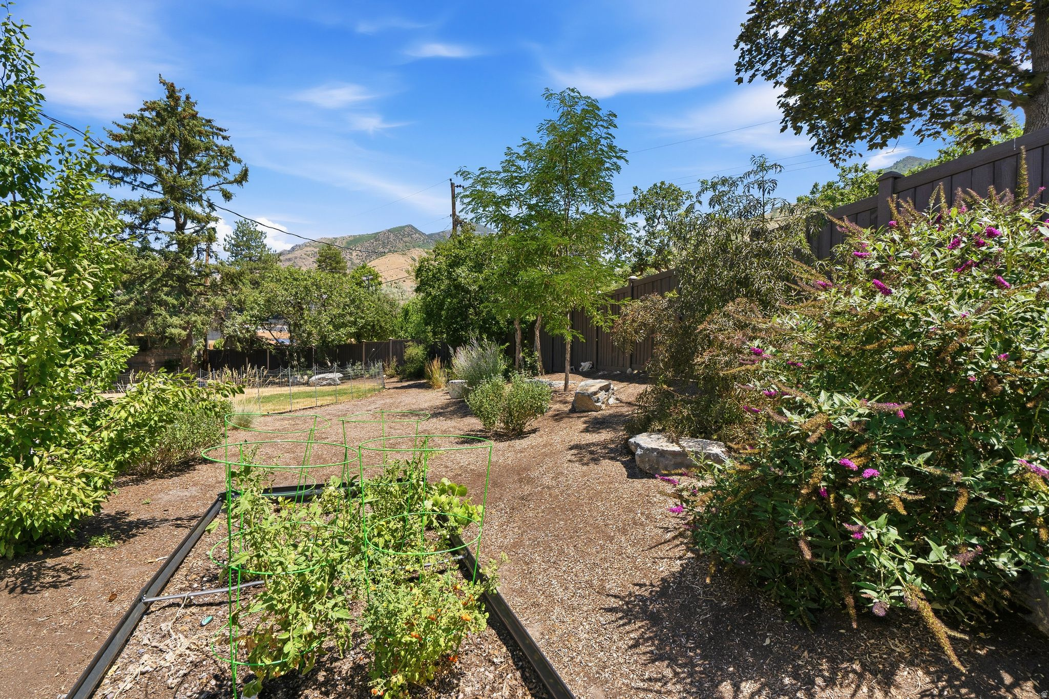 MT OLYMPUS ACRES - Residential