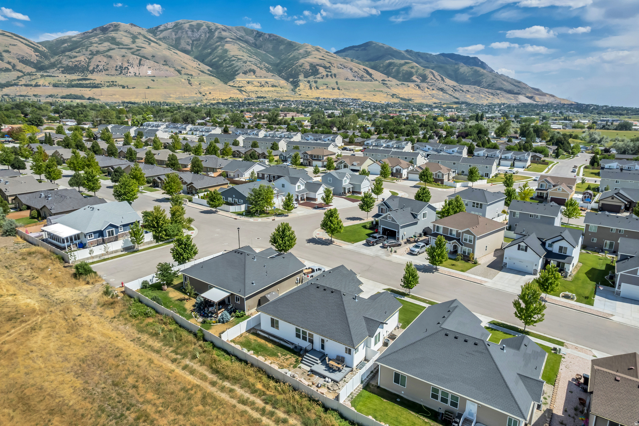 ORANGE GROVE - Residential