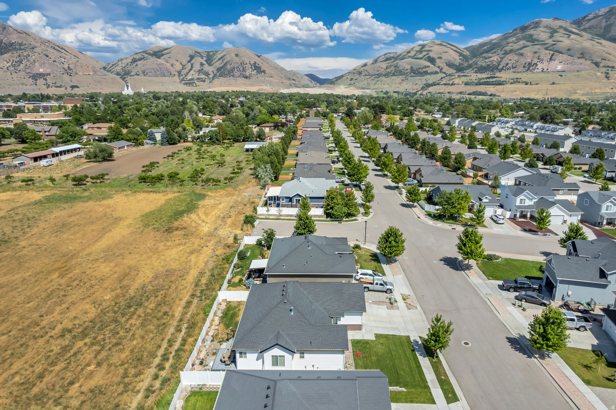 ORANGE GROVE - Residential