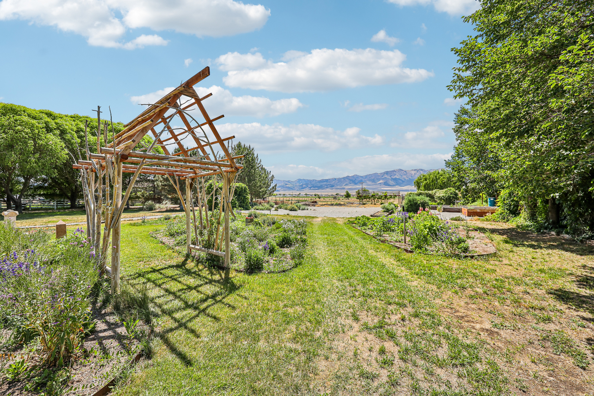 PALOMINO RANCH - Residential