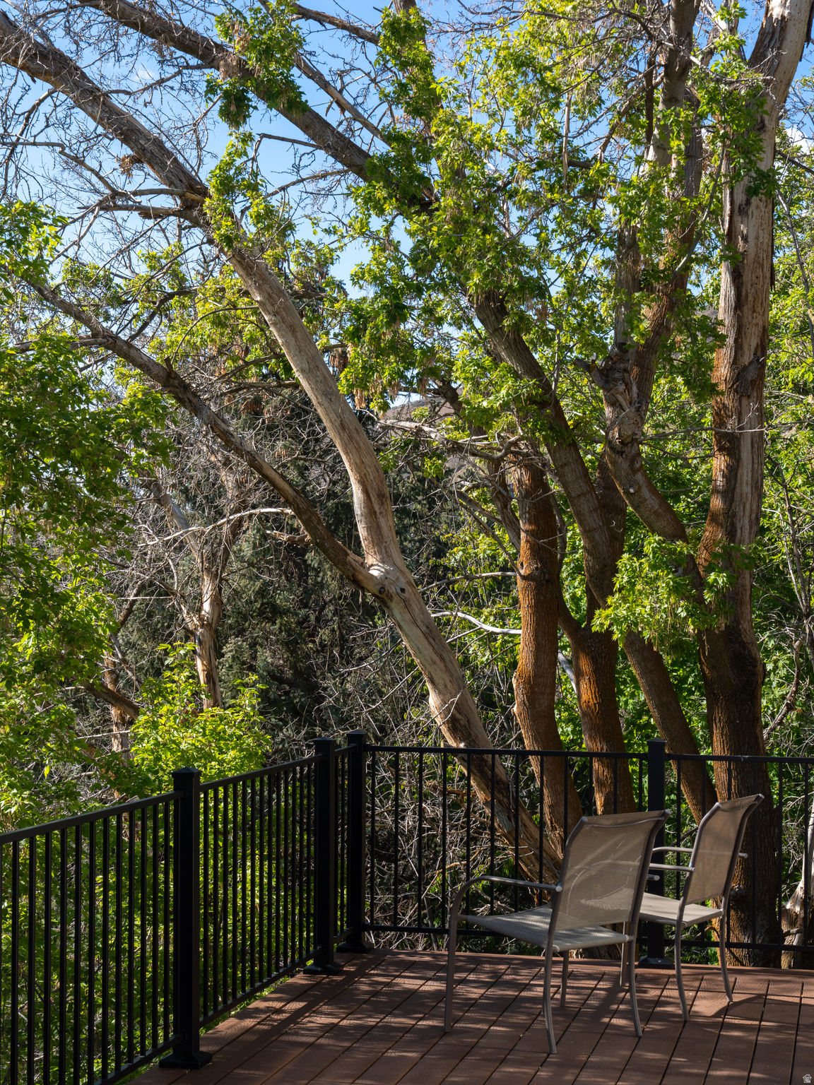 EASTWOOD - Residential