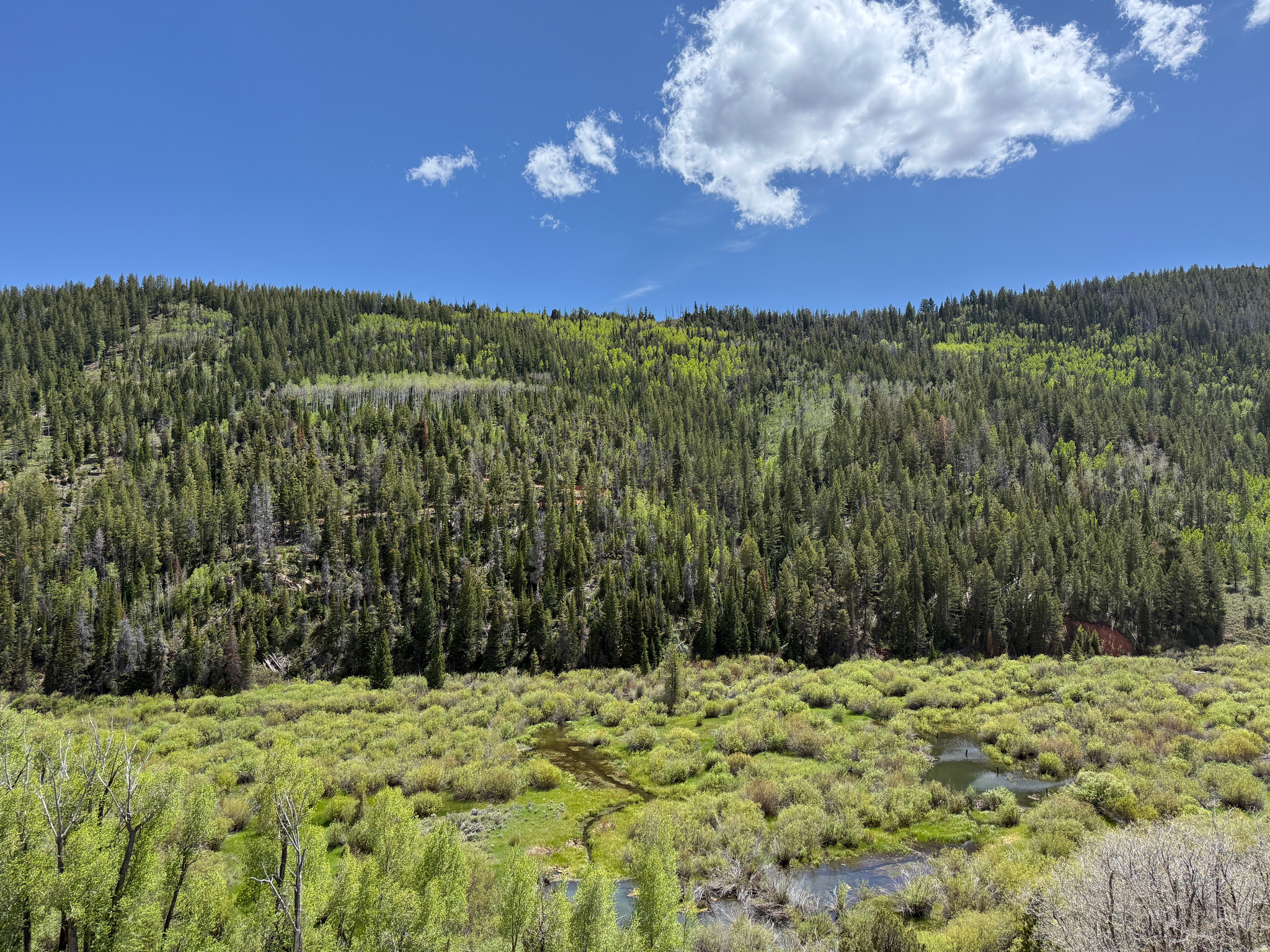 The West Fork Ranch is comprised of 667 acres of premium fishing, hunting, and outdoor recreation land, conveniently located between Woodland & Hanna, in Wasatch County.  Over 1.4 miles of the West Fork Duchesne River flows directly through the ranch, along with almost 0.5 miles of Little Sand Creek.  The West Fork Duchesne River is a premium trout fishery, home to both Brown trout and native Colorado River cutthroat trout, which can easily grow to over 18" in size in this section of river. The West Fork Ranch is currently part of the 10,200 acre Moon Ranch CWMU for both elk and mule deer, and the hunting quality for trophy bull elk and buck mule deer on the ranch is very good. The ranch is accessible along the graveled West Fork Road (Forest Road 050), which connects into the paved and year-round maintained State Road 35 about five miles to the east of the ranch. The current owners have cleared some skiable runs through the north facing timbered slopes on the ranch, that drop about 800 vertical feet over a quarter mile. Please visit A5 Real Estate's website to download a full information brochure and watch drone video.