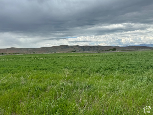 Looking to build your dream home! This 5 acre lot features breathtaking panoramic views, open space with ample room for your animals or just lots of room.  Property includes 2 shares of Twin Lakes irrigation water.  Buyer will need to drill a well and install a septic system.  Neighboring wells are 30 to 40 GPM.  Additional land is available.  Call agent for more land opportunities and lot sizes