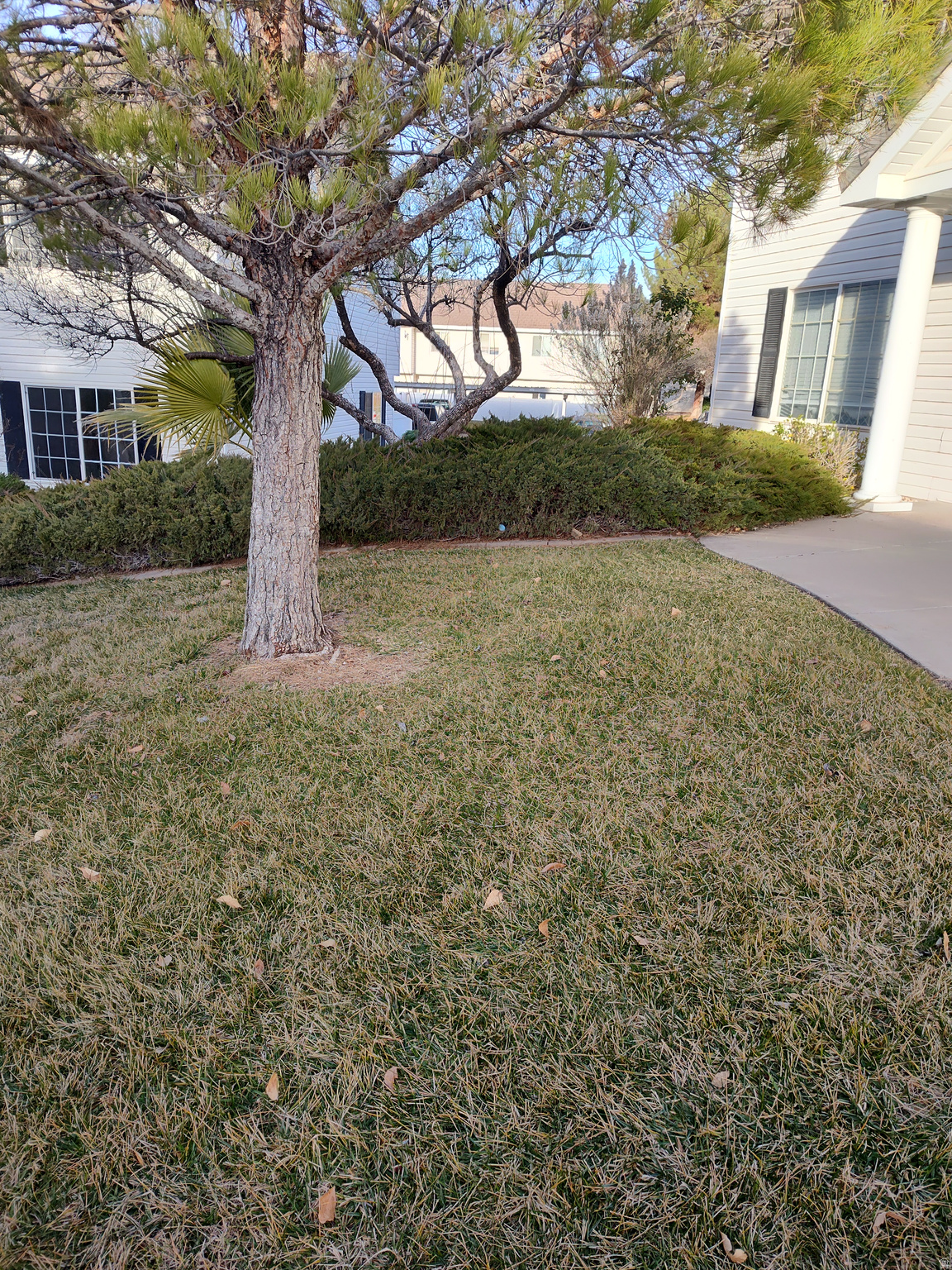 LEXINGTON HILLS - Residential