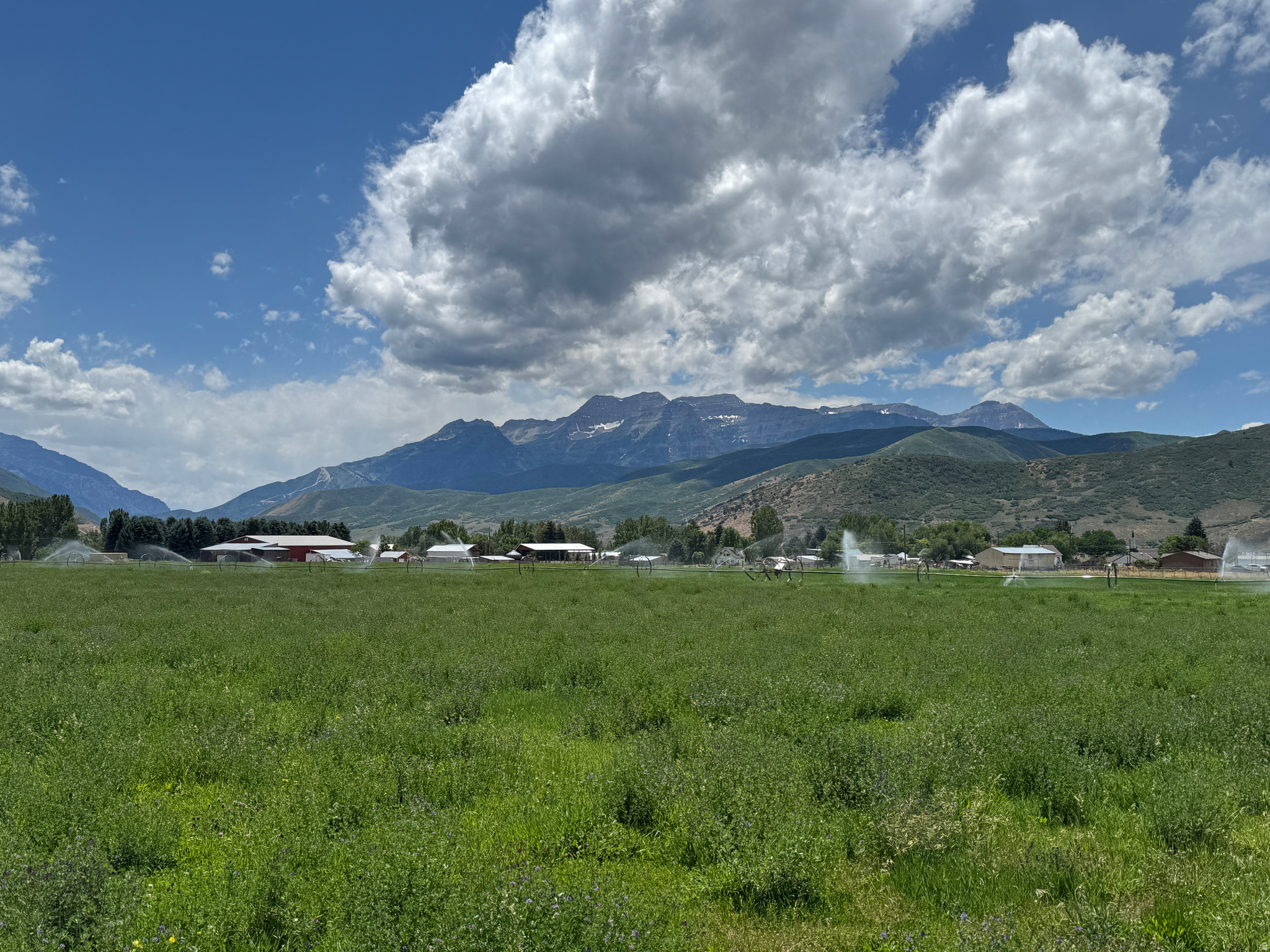 TIMP VISTA CIR - Land