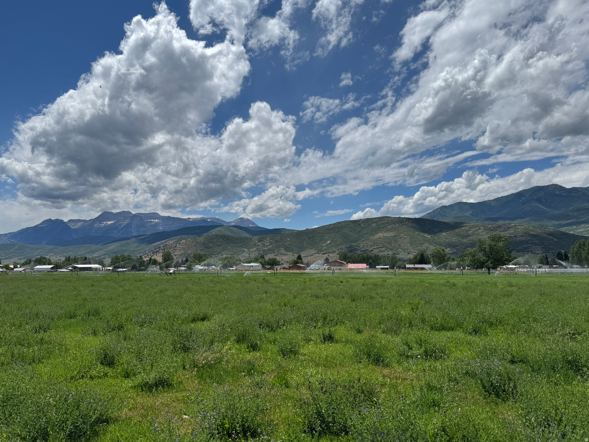 TIMP VISTA CIR - Land