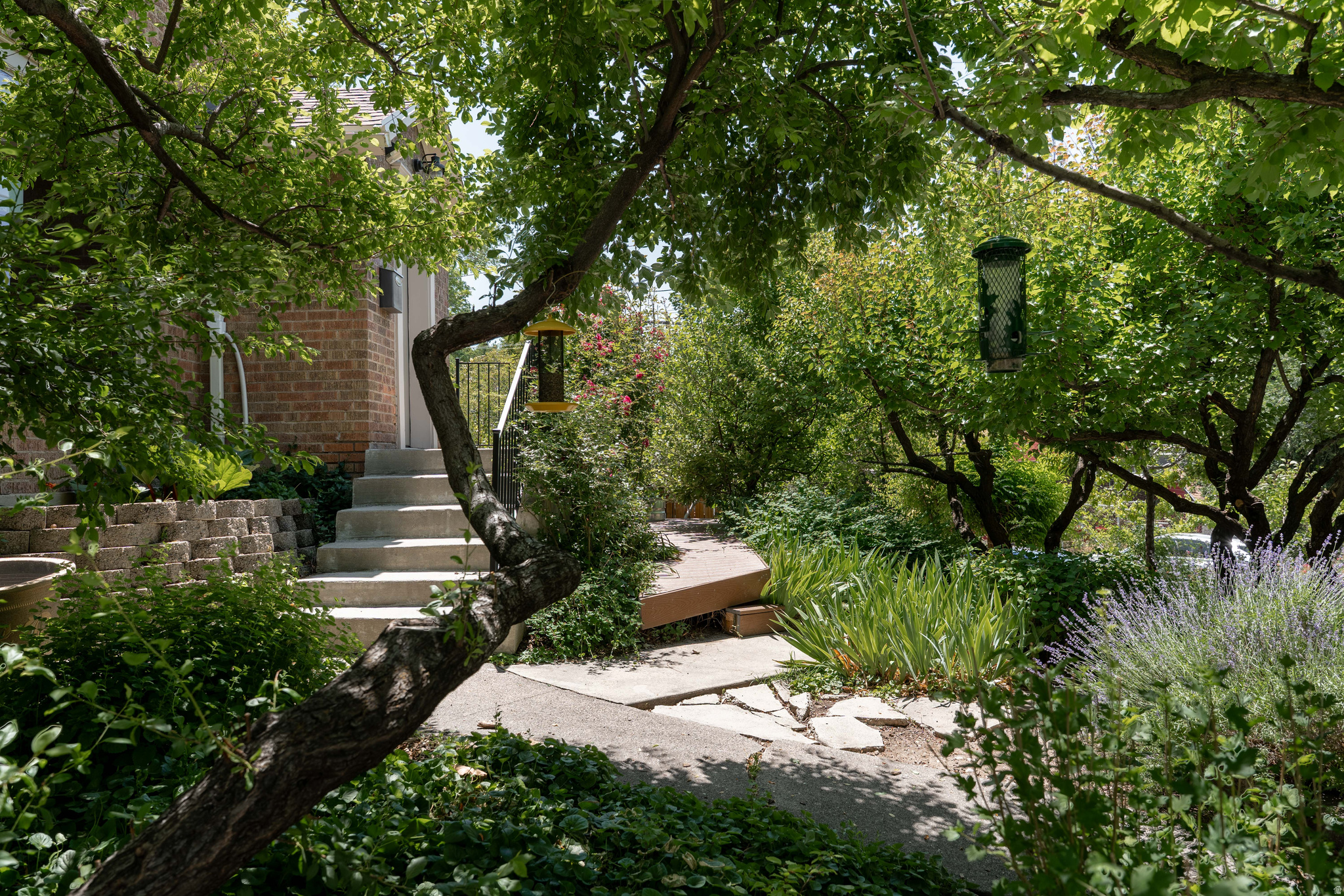 CAPITOL HILL - Residential