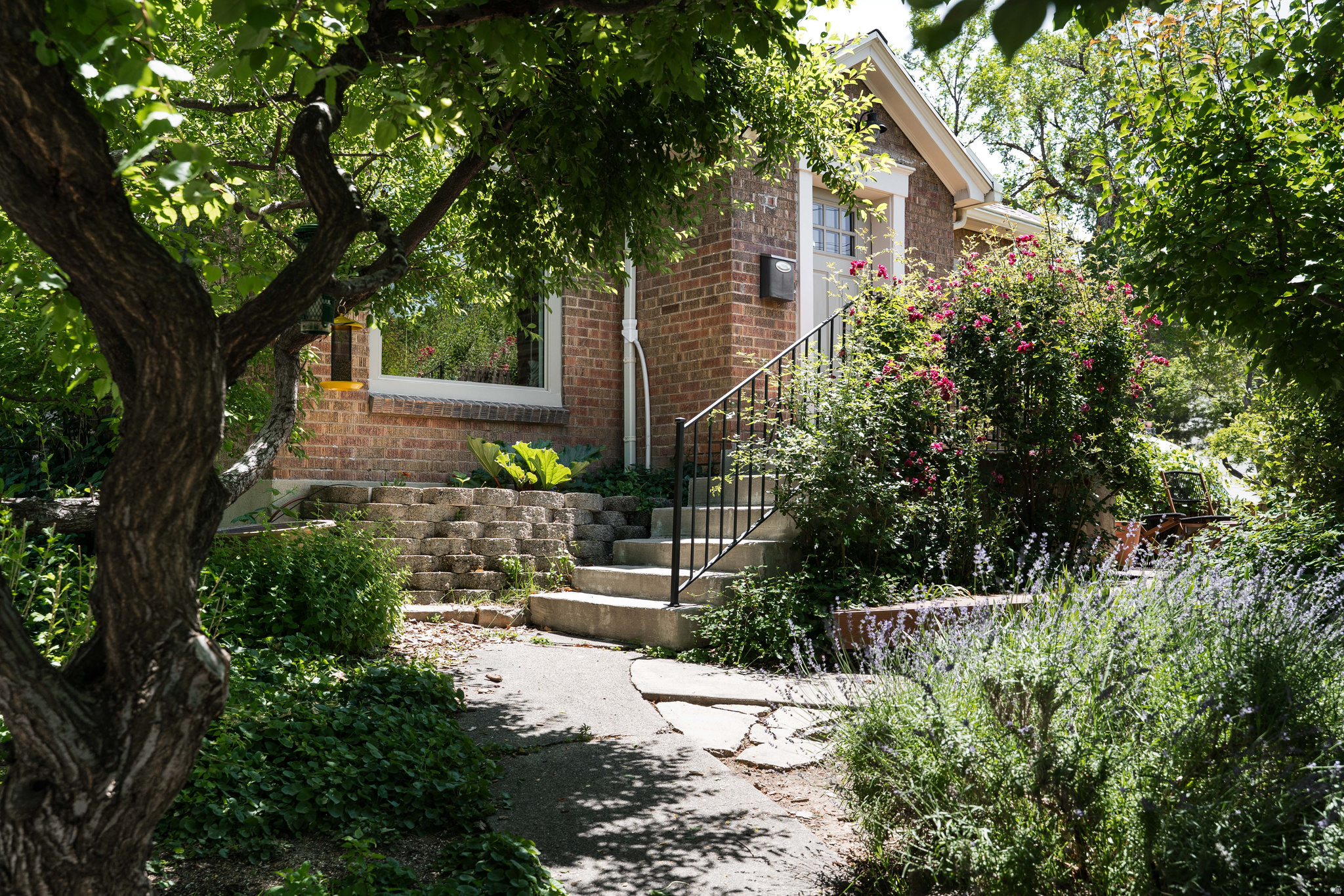 CAPITOL HILL - Residential