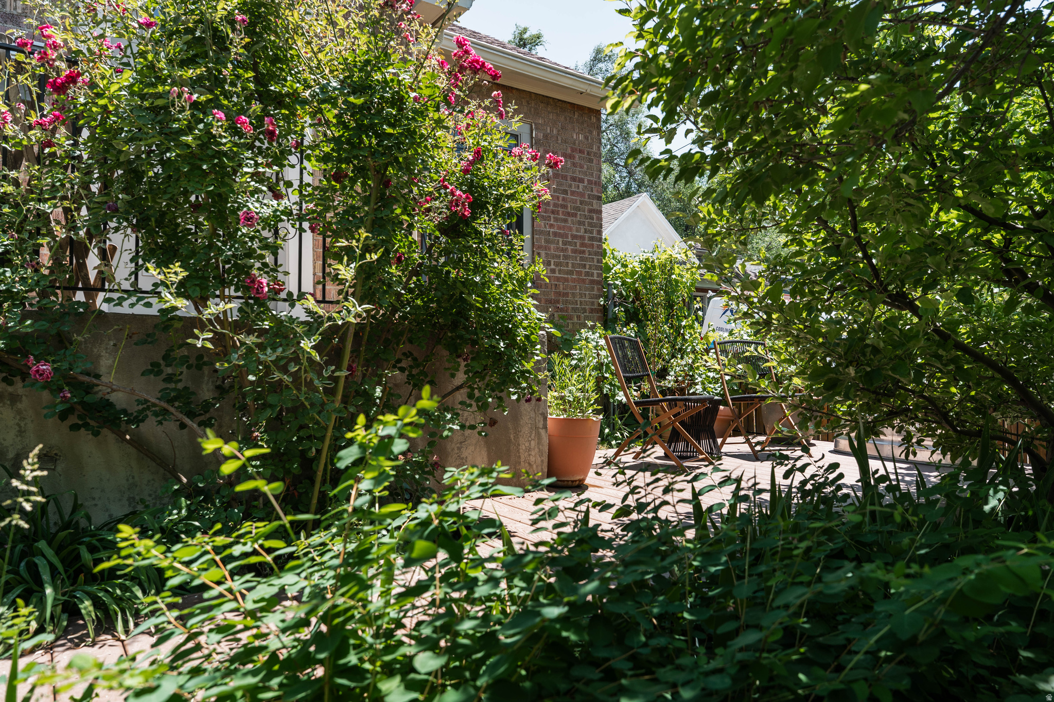 CAPITOL HILL - Residential