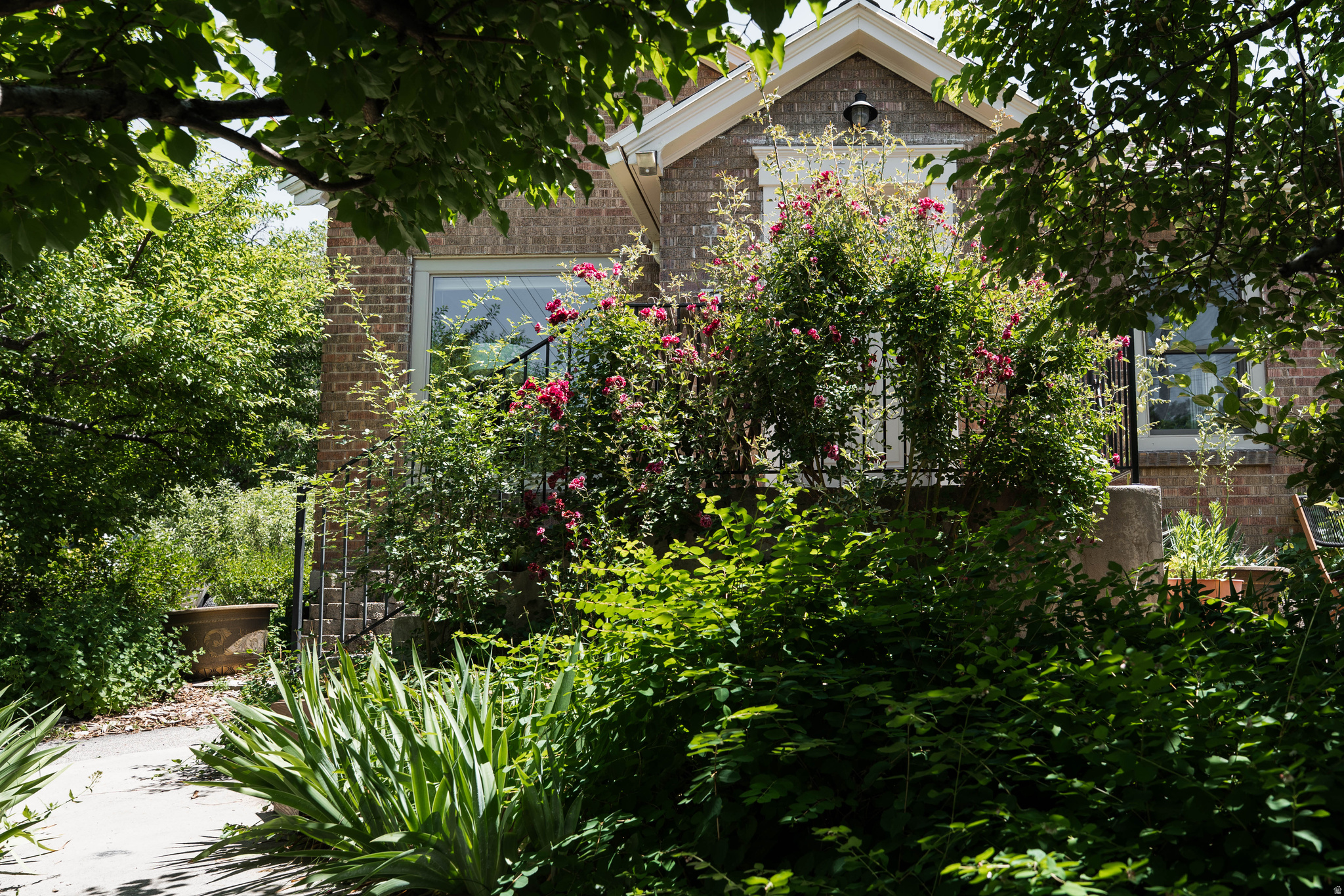 CAPITOL HILL - Residential