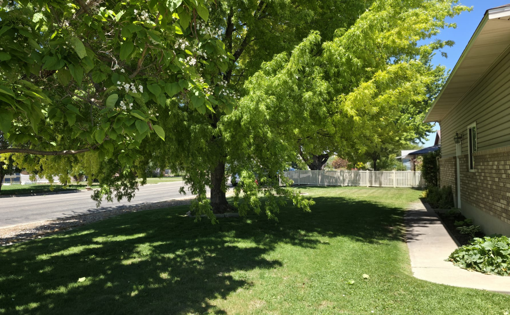WESTLAND PARK - Residential