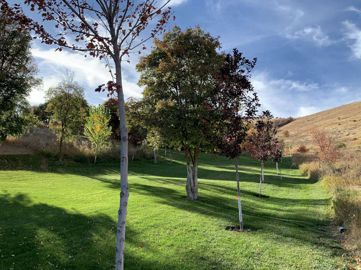 MT STERLING ESTATES - Residential