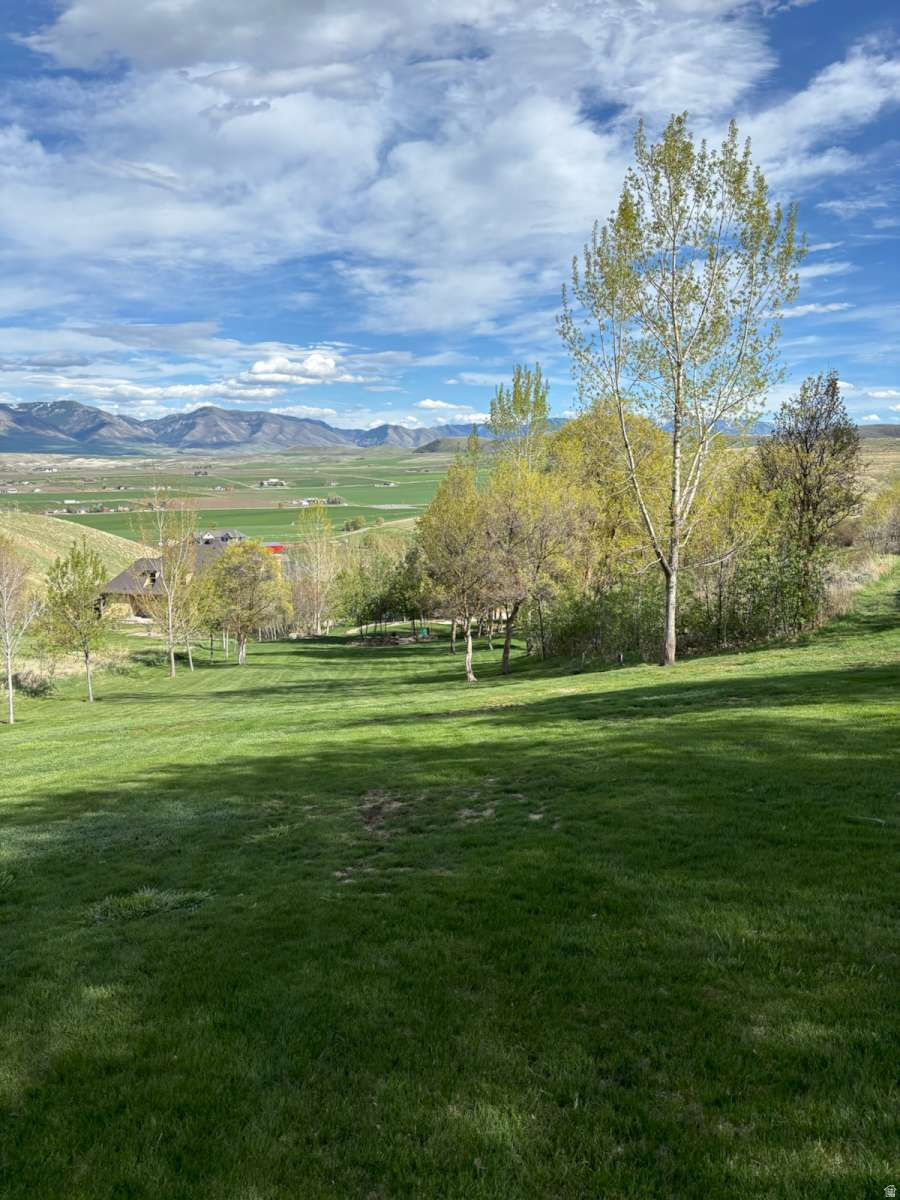 MT STERLING ESTATES - Residential