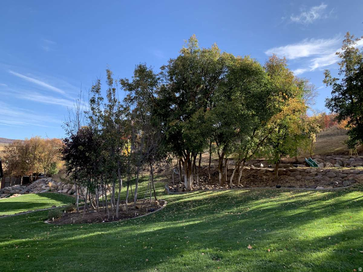 MT STERLING ESTATES - Residential