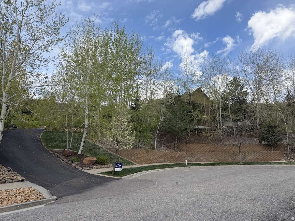 MT STERLING ESTATES - Residential