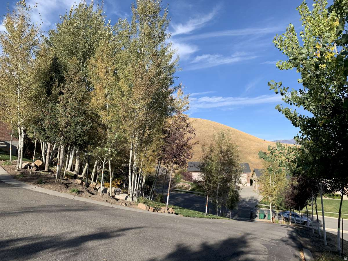 MT STERLING ESTATES - Residential