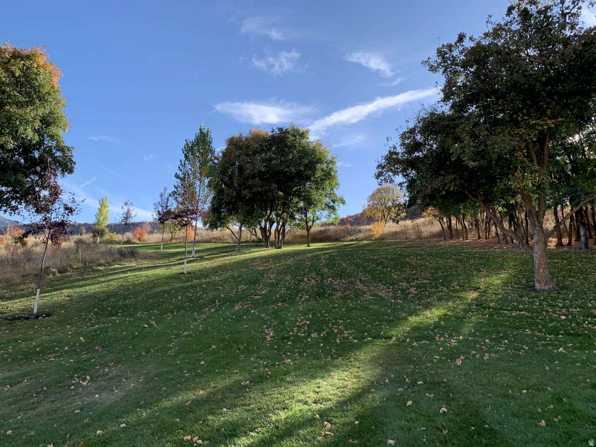 MT STERLING ESTATES - Residential