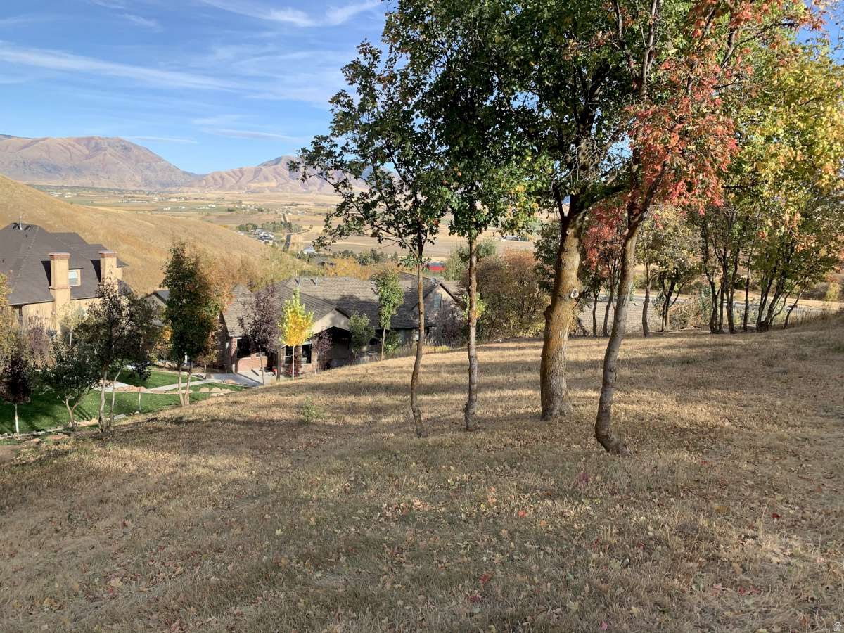 MT STERLING ESTATES - Residential