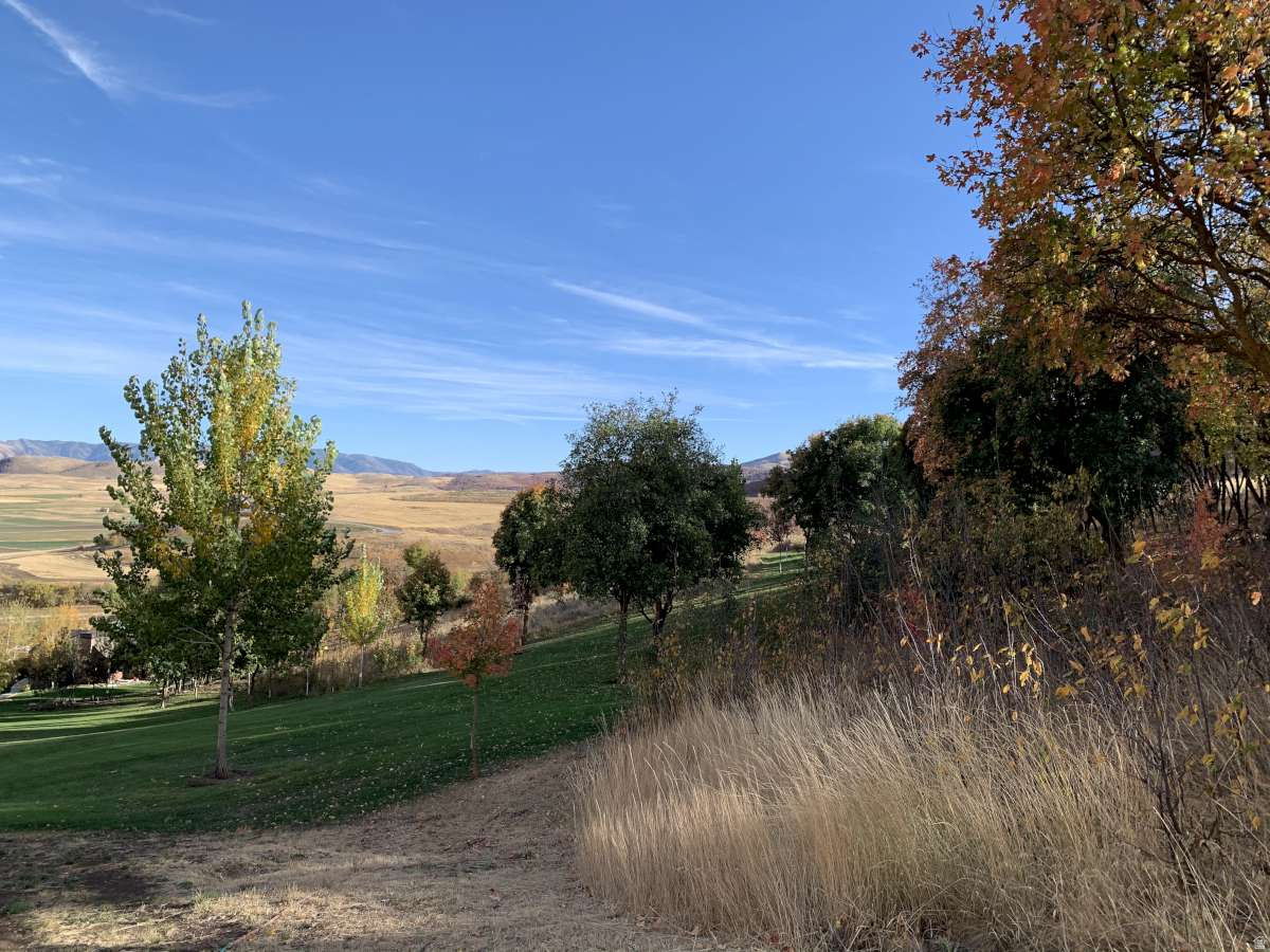 MT STERLING ESTATES - Residential