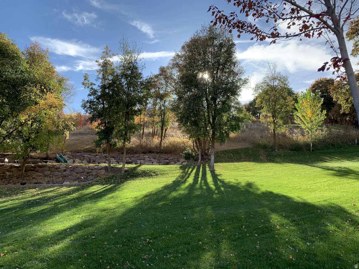 MT STERLING ESTATES - Residential