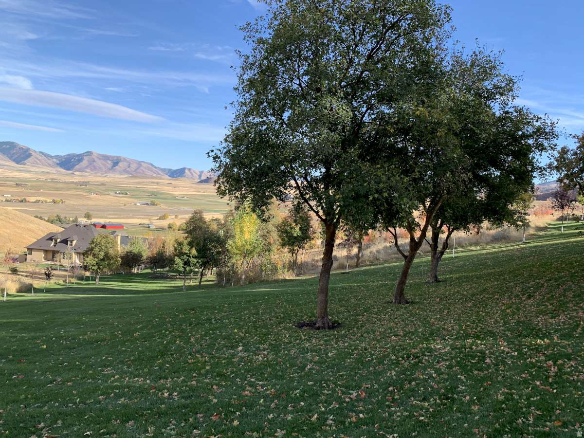 MT STERLING ESTATES - Residential