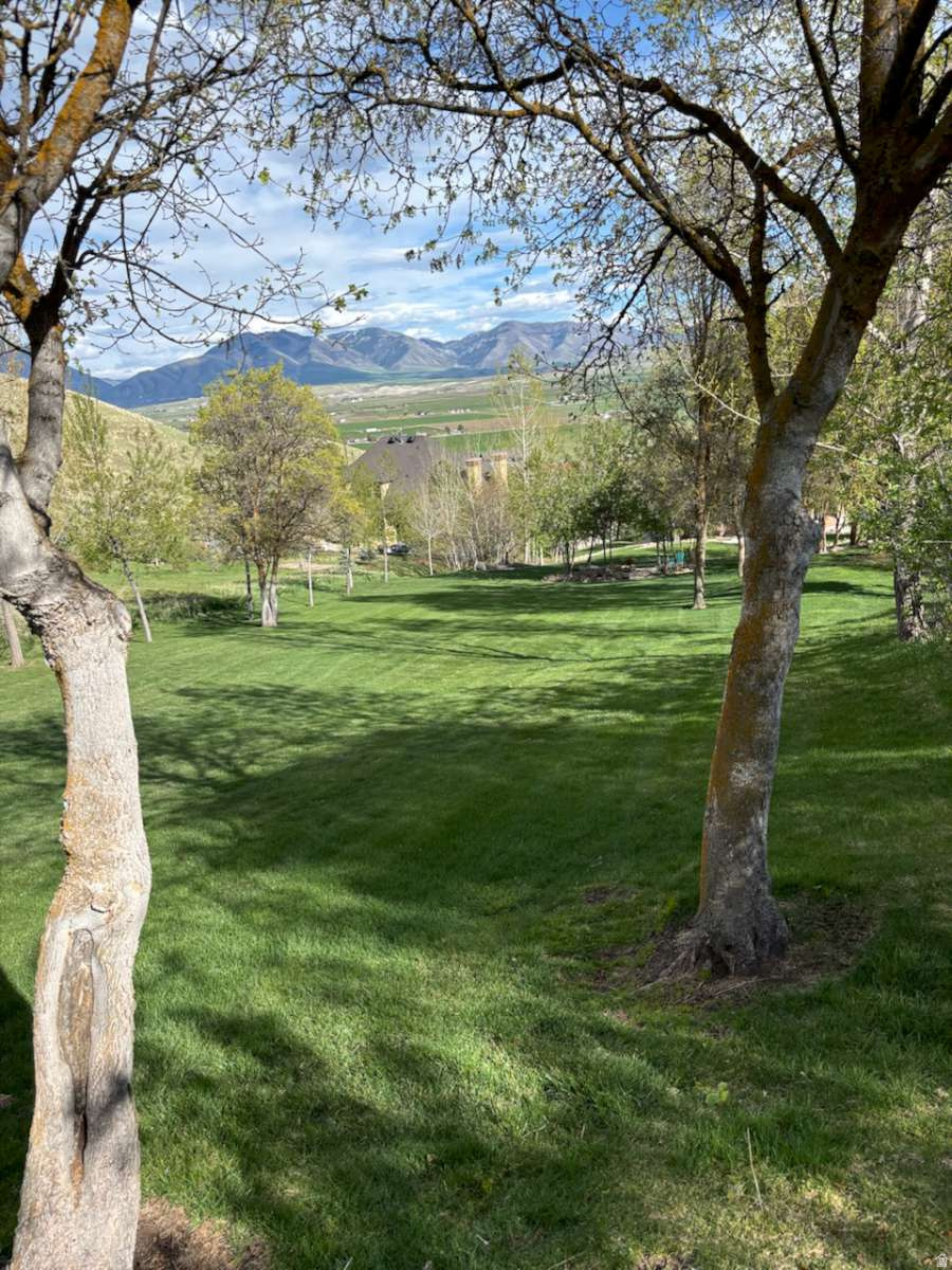 MT STERLING ESTATES - Residential
