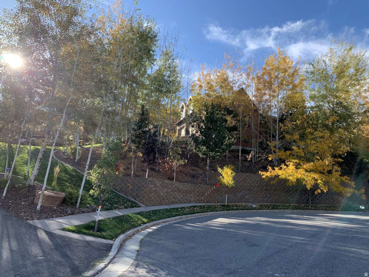 MT STERLING ESTATES - Residential
