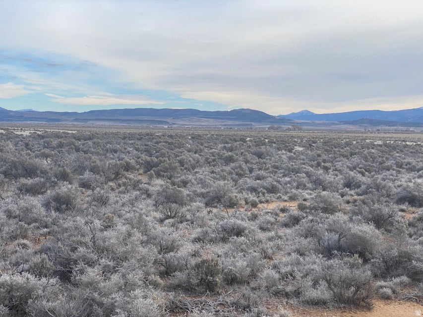 CEDAR VALLEY ACRES - Land