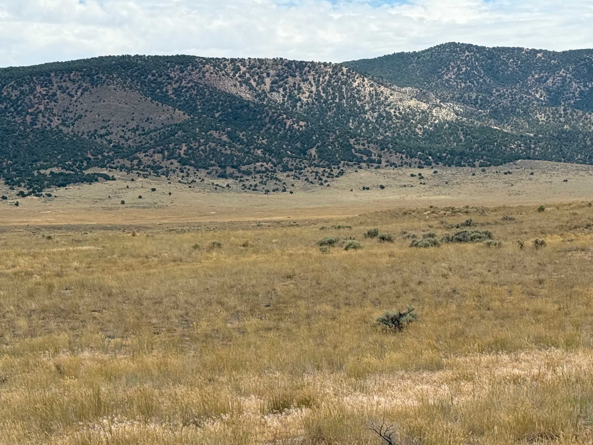 Don't miss out, these are almost gone!!! Beautiful 5-acre parcel just minutes from Yuba Reservoir. These buildable lots are part of the Dry Lot Subdivision with only 4 remaining 5-acre parcels. Surrounded by BLM and public land, this is the perfect sport for recreation, boating, fishing, camping and enjoying the great outdoors.