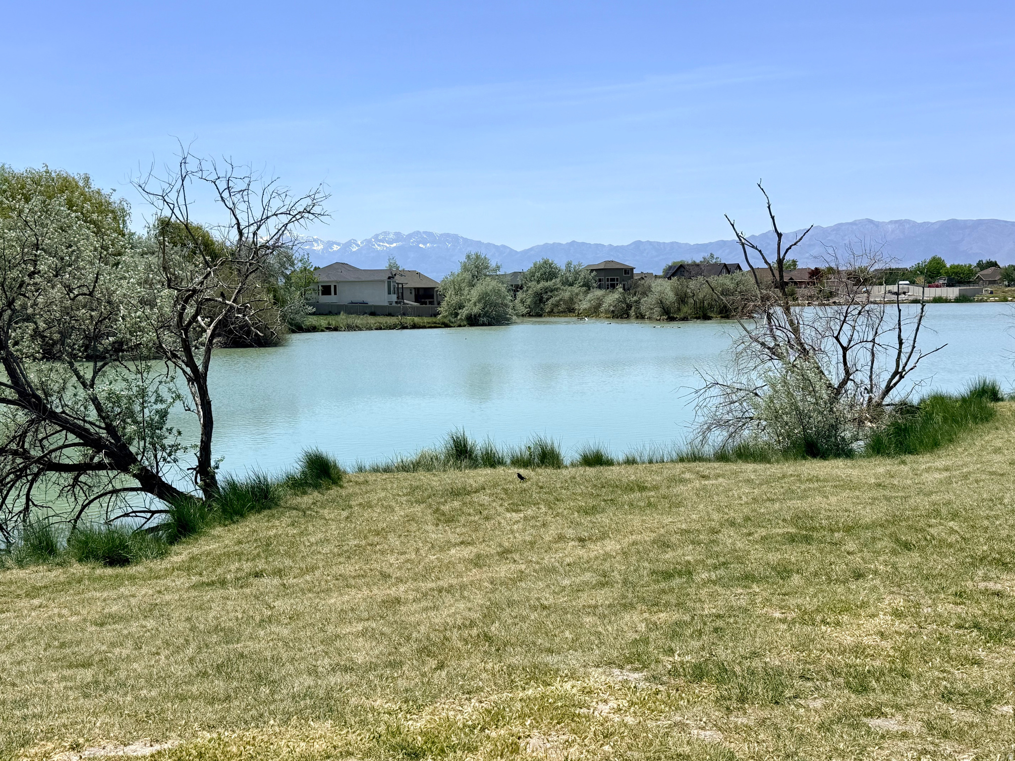 MILL POND PUD - Residential