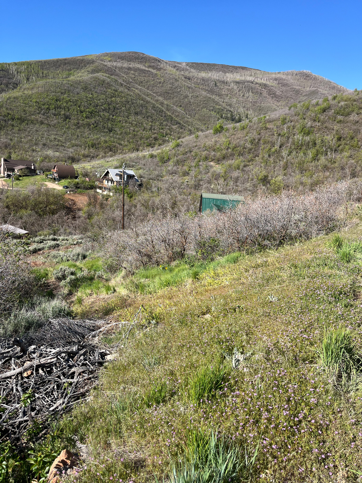 SWISS MOUNTAIN ESTATES - Land