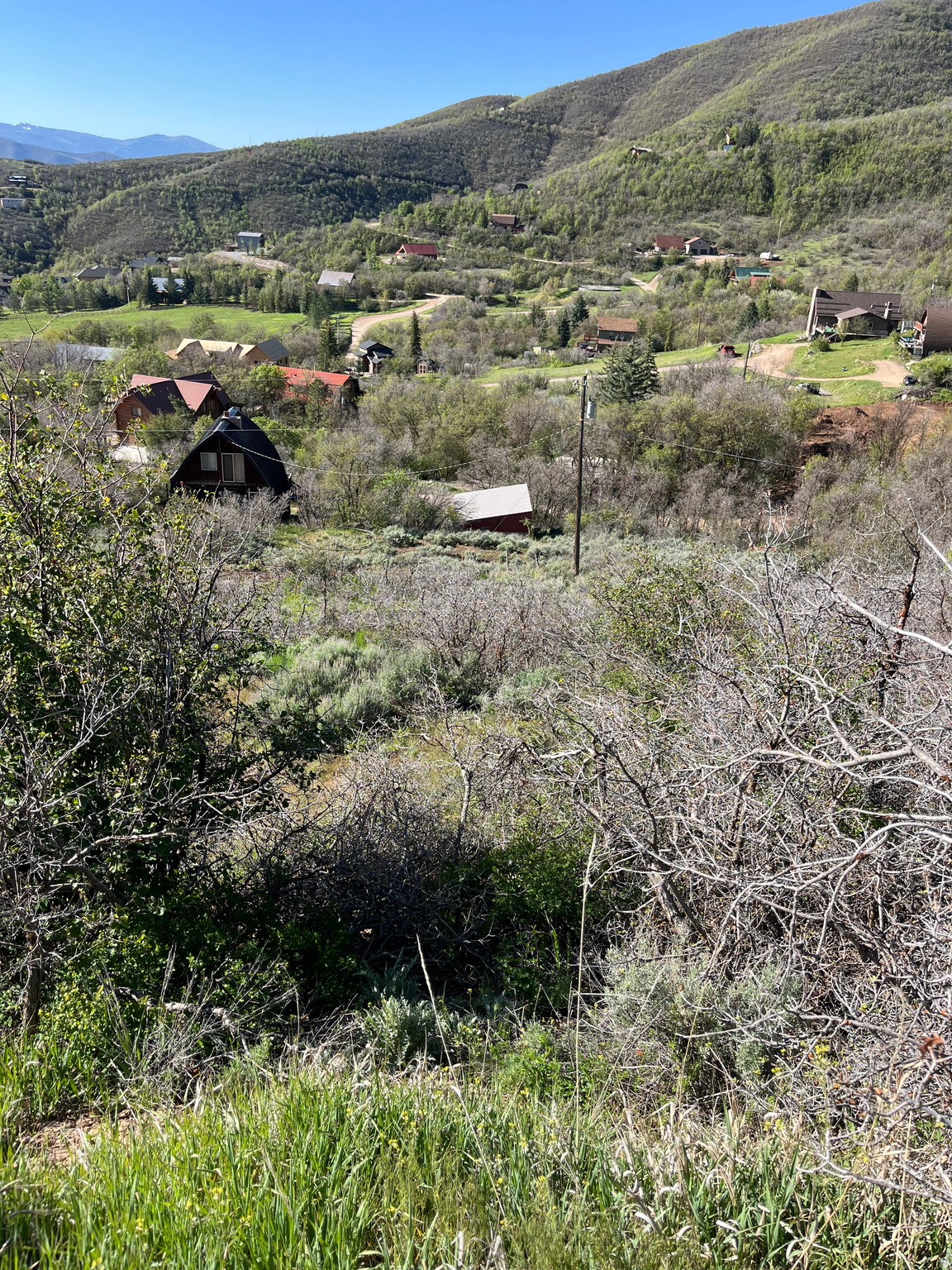 SWISS MOUNTAIN ESTATES - Land