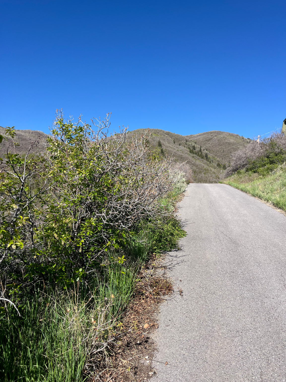 SWISS MOUNTAIN ESTATES - Land