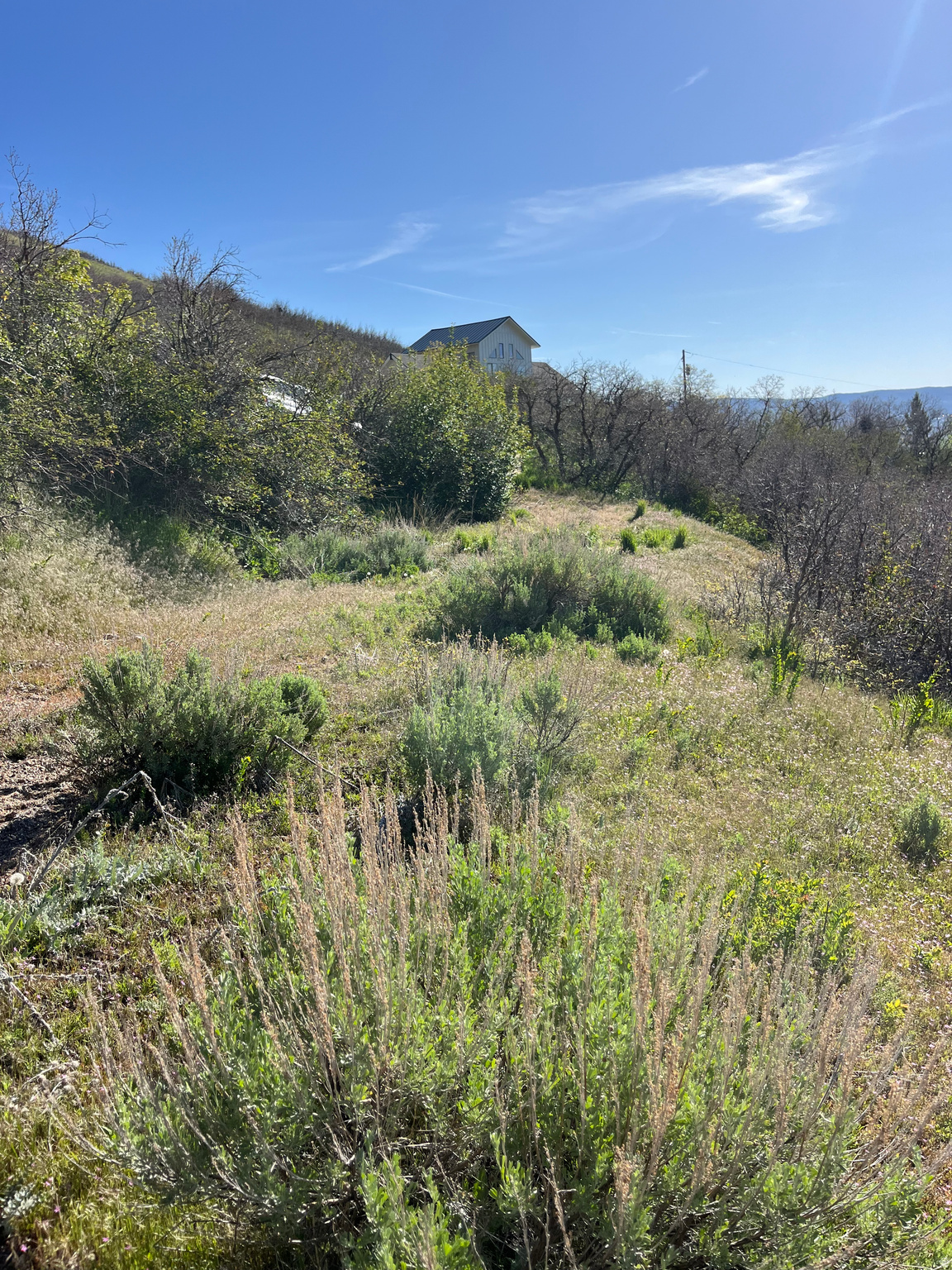 SWISS MOUNTAIN ESTATES - Land