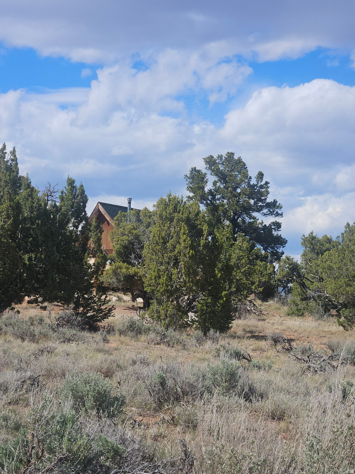 ROBBER'S ROOST - Residential