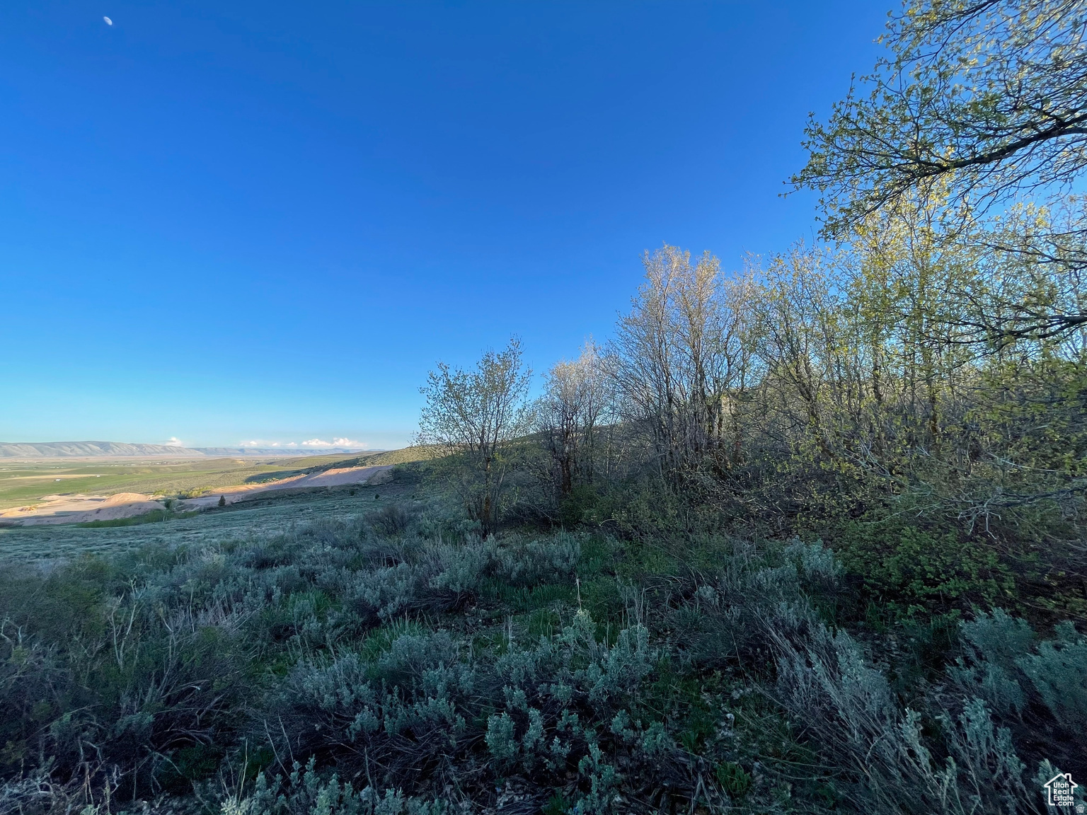 LAKE RIDGE RANCH - Land