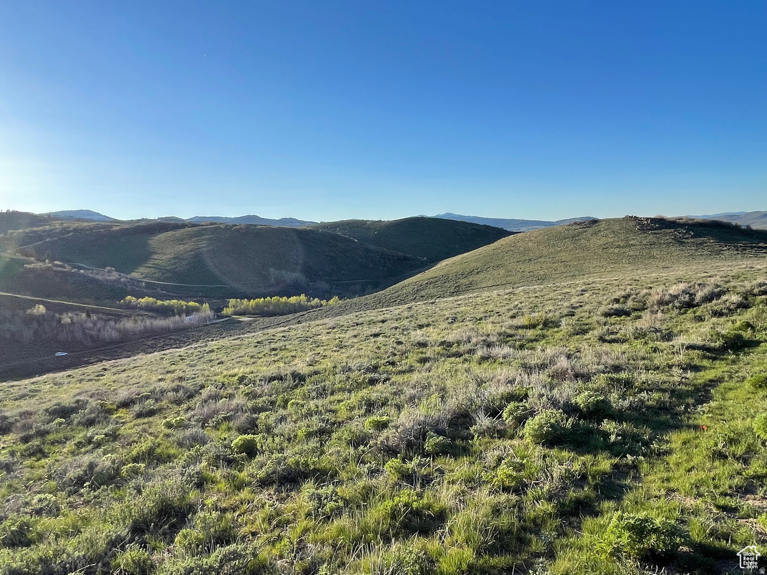LAKE RIDGE RANCH - Land