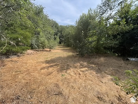 Fantastic lot in a great east side area. Owner Agent