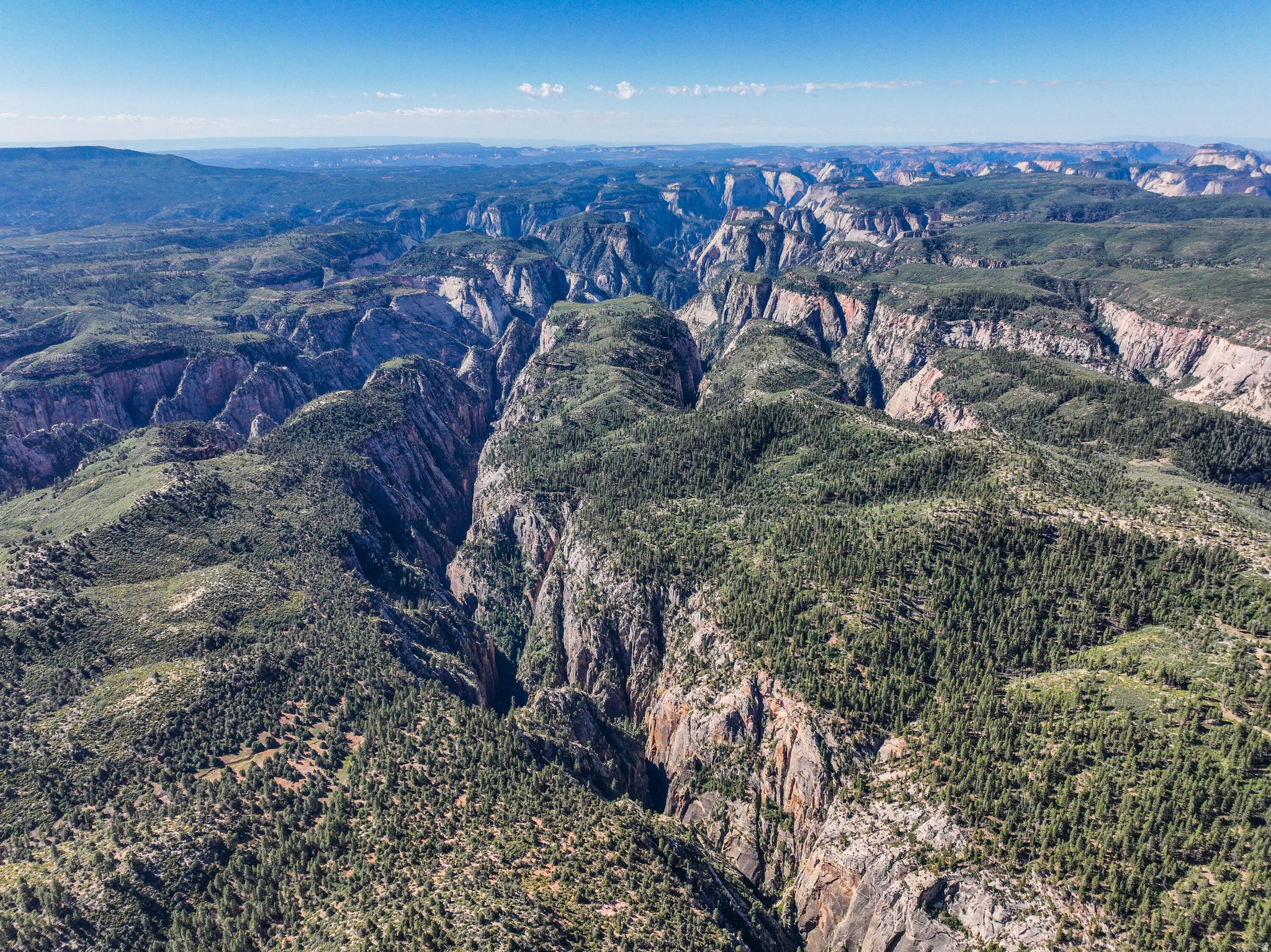 ZION PANORAMA 4 - Land