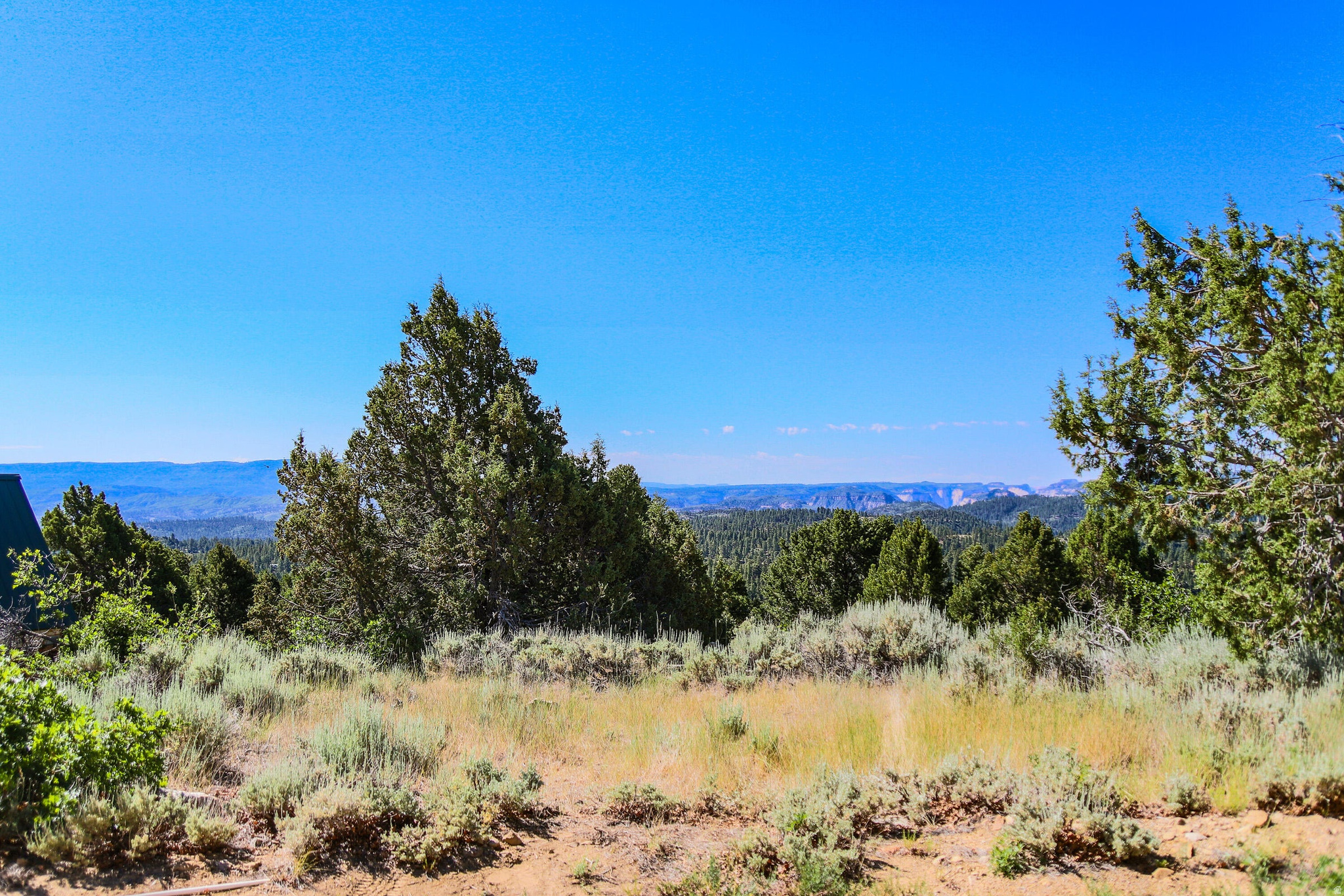 ZION PANORAMA 4 - Land