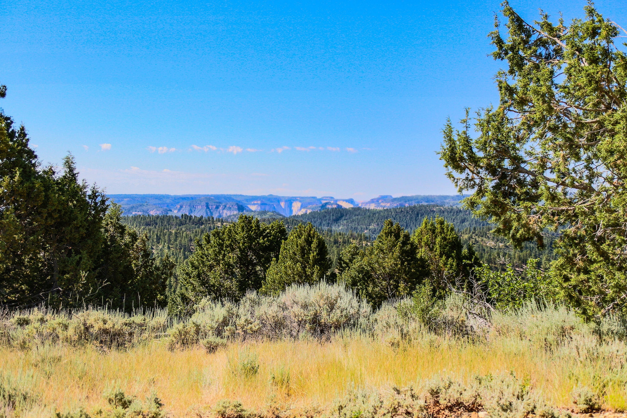 This 2.22-acre lot in Zion Panorama, located in a gated community near Kolob Reservoir and offers towering pines, privacy, and views toward Zion National Park. Community water is available through the HOA, and outdoor recreation is just minutes away.